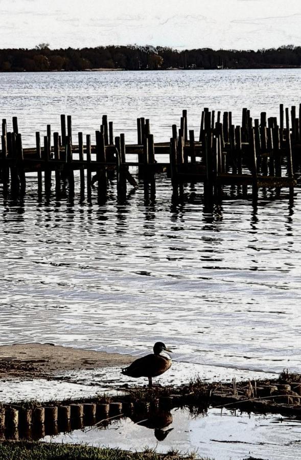 N°1 Loft Am Yachthafen Lägenhet Bad Zwischenahn Exteriör bild